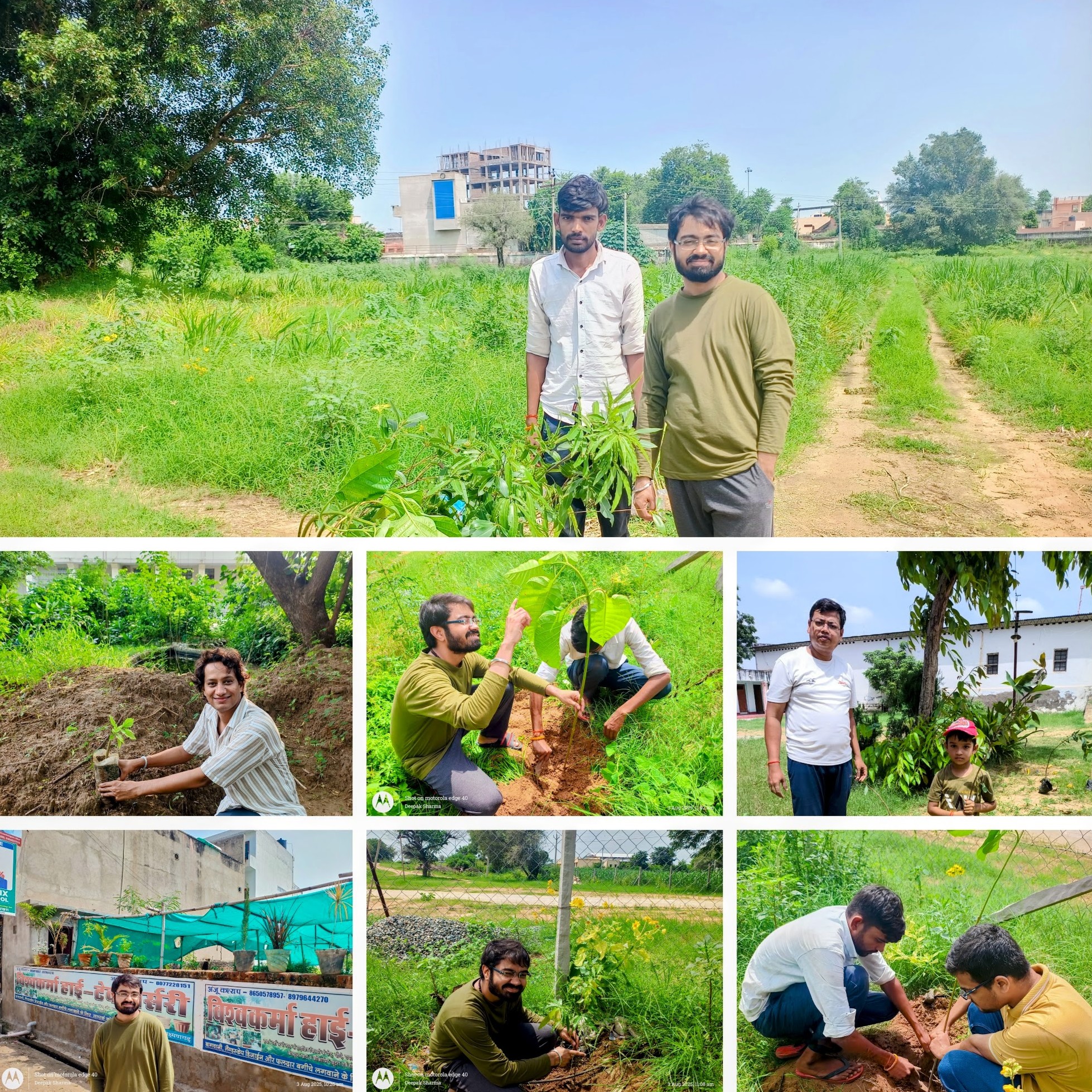 Plantation Campaign Image